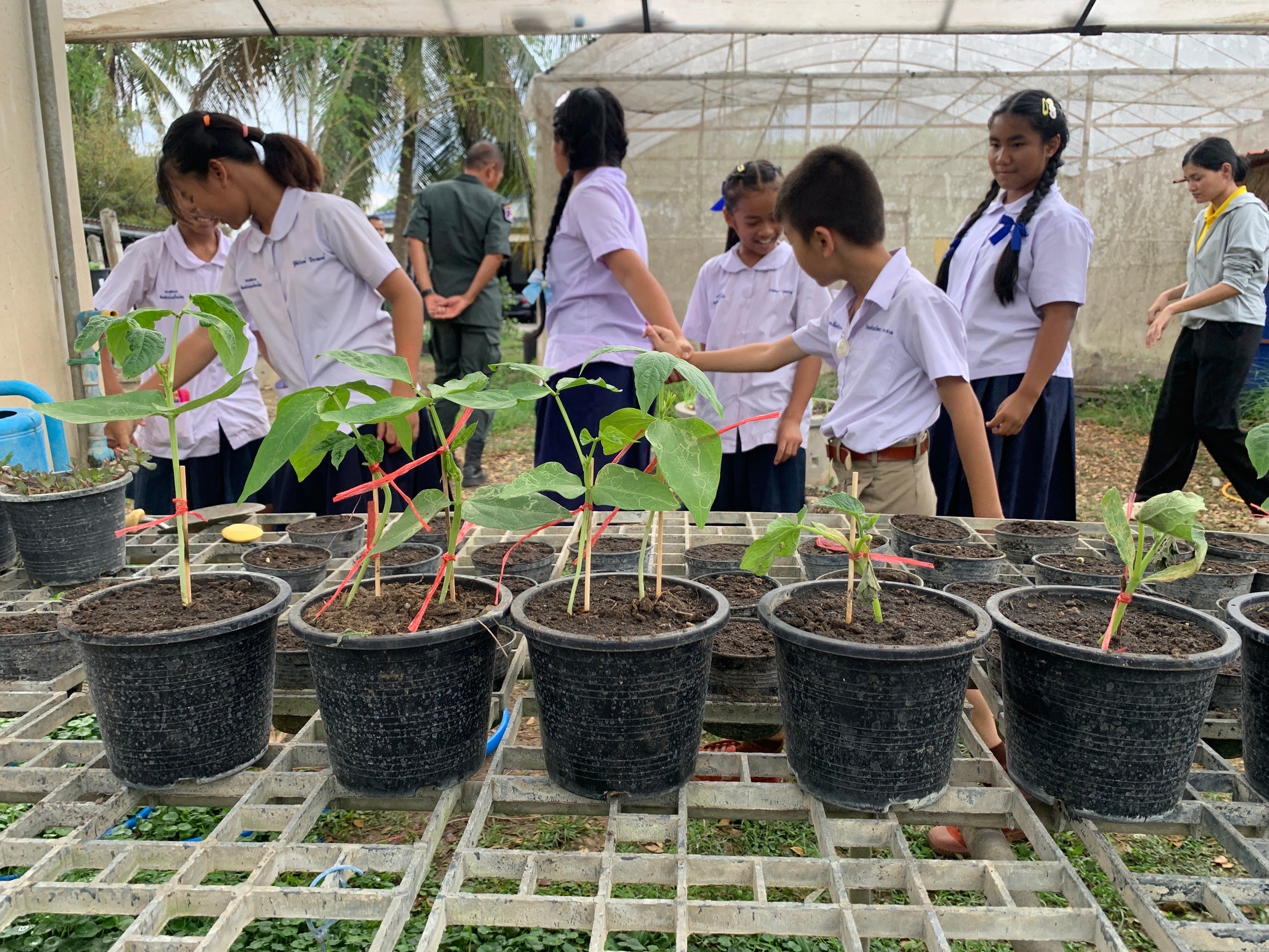 title -  โครงการเพิ่มศักยภาพระบบงานเกษตรภายใต้แผนพัฒนาเด็กและเยาวชนในถิ่นทุรกันดารตามพระราชดำริ สมเด็จพระเทพรัตนราชสุดาฯ สยามบรมราชกุมารี ปีงบประมาณ พ.ศ. 2568 